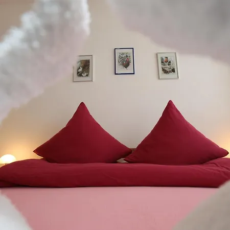Apartment Schwarzwald Oase - - Mein Schwarzwaldhaeusle Todtmoos